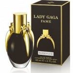 lady gaga fame